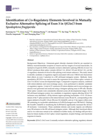 Identification of Cis-Regulatory Elements Involved in Mutually Exclusive Alternative Splicing of Exon 3 in SfGluCl from Spodoptera frugiperda