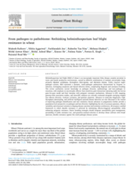 From pathogen to pathobiome: Rethinking helminthosporium leaf blight resistance in wheat