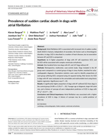 Prevalence of sudden cardiac death in dogs with atrial fibrillation