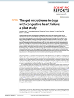 The gut microbiome in dogs with congestive heart failure: a pilot study