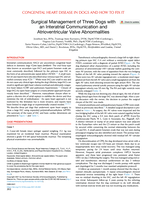 Surgical Management of Three Dogs with an Interatrial Communication and Atrioventricular Valve Abnormalities