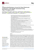 Antimicrobial Resistance Across the Urban Wastewater Continuum: A One Health Assessment Using High-Throughput qPCR