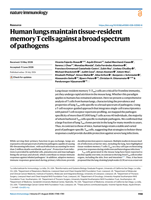 Human lungs maintain tissue-resident memory T cells against a broad spectrum of pathogens