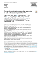 Thin and hypokinetic myocardial segments in cats with cardiomyopathy