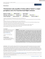 Chromosome-scale assembly of wheat cultivar Sumai 3, a major germplasm source for Fusarium head blight resistance