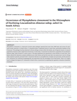 Occurrence of Phytophthora cinnamomi in the Rhizosphere of Declining Leucadendron elimense subsp. salteri in South Africa