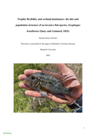 Trophic flexibility and wetland dominance: the diet and population structure of an invasive fish species, Geophagus brasiliensis (Quoy and Gaimard, 1824)