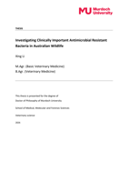 Investigating Clinically Important Antimicrobial Resistant Bacteria in Australian Wildlife