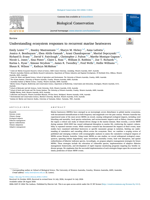 Understanding ecosystem responses to recurrent marine heatwaves