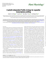 A poly(A)-independent PacBio strategy for organellar transcriptome profiling