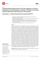 Peripheral Blood Mononuclear Cell Transcriptomics in Porcine Reproductive and Respiratory Syndrome: A Window into Innate Immune Resistance and Tolerance to Viral Disease