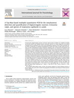 A Taq-Man-based multiplex quantitative PCR for the simultaneous detection and quantification of Angiostrongylus vasorum, Crenosoma vulpis, and species of respiratory capillarids in canids