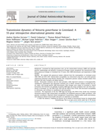 Transmission dynamics of Neisseria gonorrhoeae in Greenland: A 55-year retrospective observational genomic study